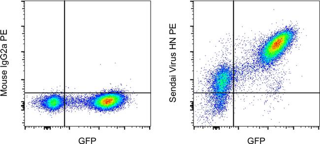 Sendai virus HN Antibody, PE (12-6494-82)