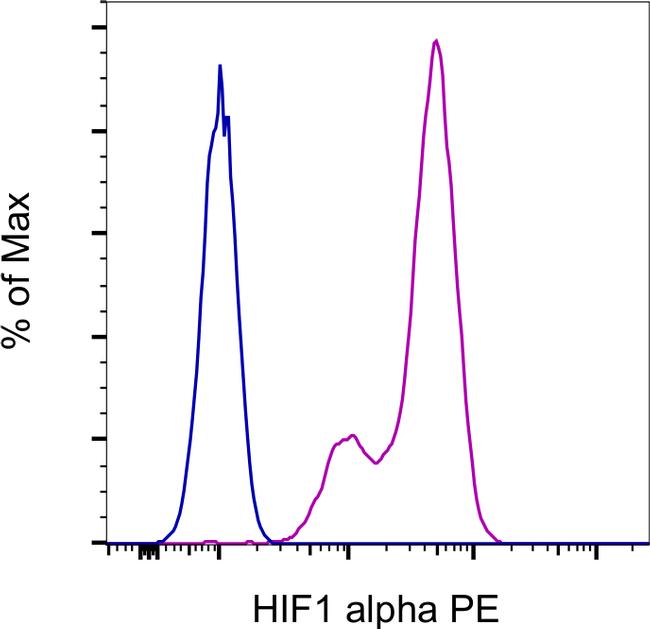 HIF-1 alpha Antibody, PE (12-7528-82)