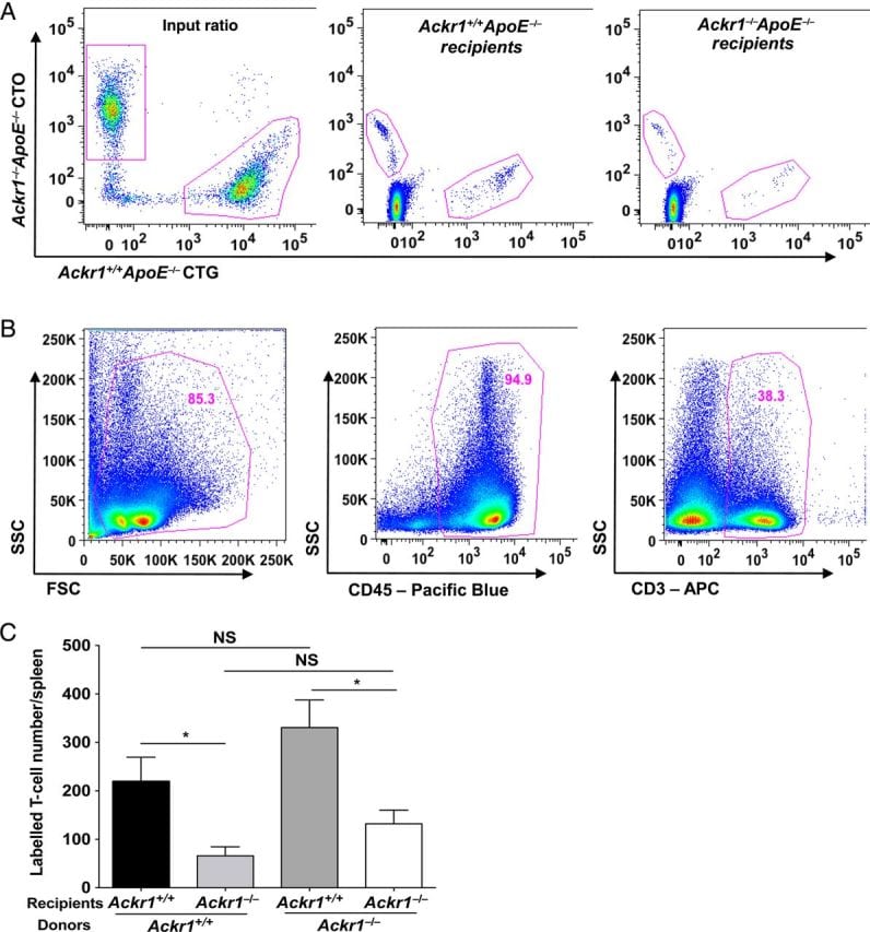 Cd45.2 Antibody, Fitc (11-0454-82)