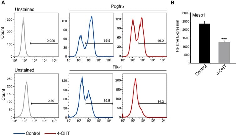 CD140a (PDGFRA) Antibody in Flow Cytometry (Flow)