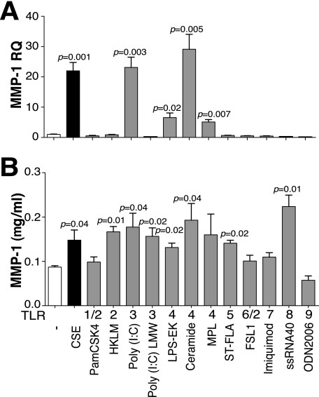 CD284 TLR4 Antibody Alexa Fluor 488 53 9917 42 CD284 TLR4 Antibody Alexa Fluor 488 53 9917 42