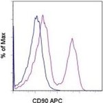 Cd90 Thy 1 Antibody Apc 17 5900 42
