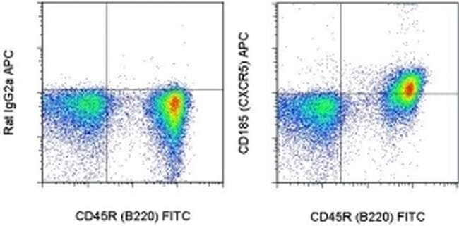 CD185 (CXCR5) Antibody, APC (17-7185-82)