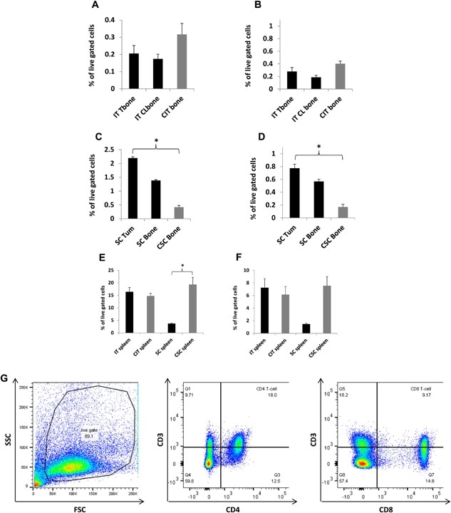 CD8a Antibody (14-0081-82)