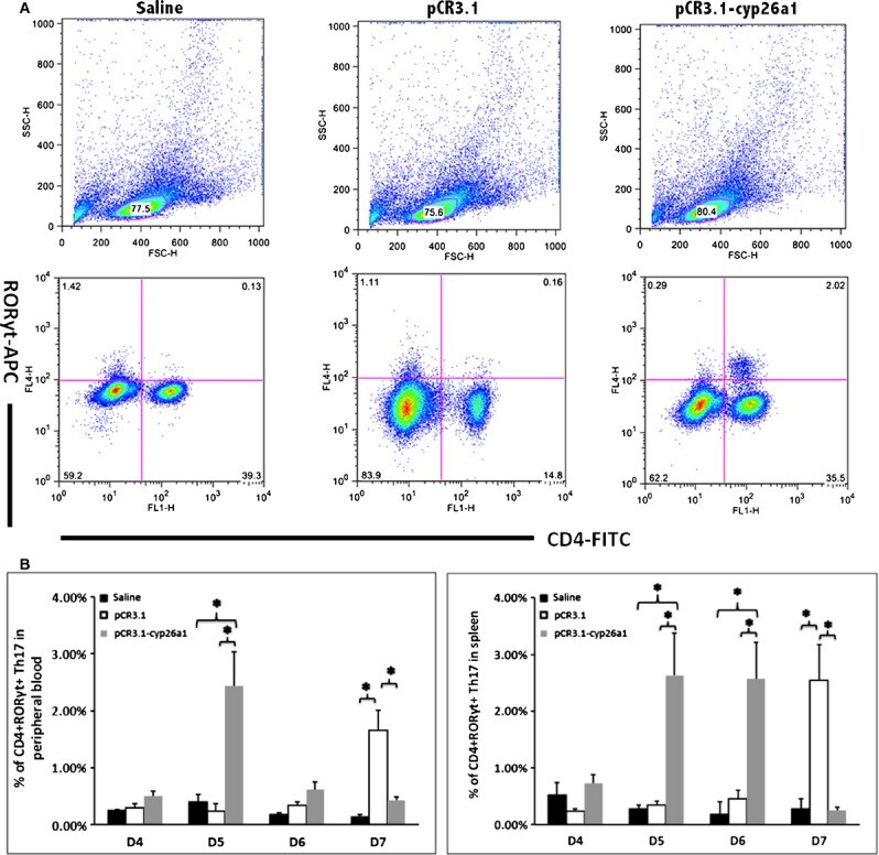 ROR gamma (t) Antibody, APC (Monoclonal, AFKJS-9)