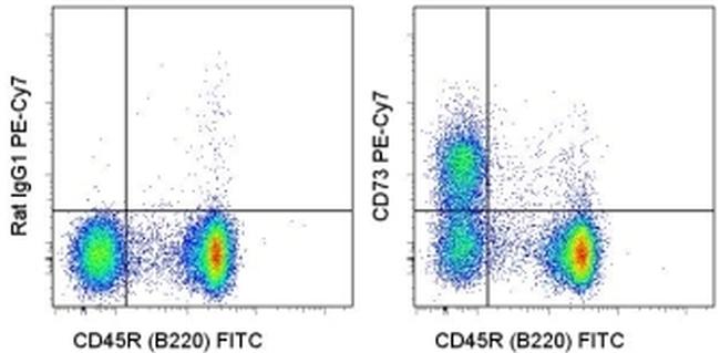 CD73 Antibody, PE-Cyanine7 (25-0731-82)