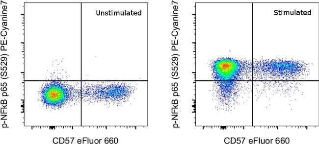 Phospho-NFkB p65 (Ser529) Antibody, PE-Cyanine7 (25-9863-42)