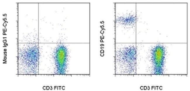 cd19