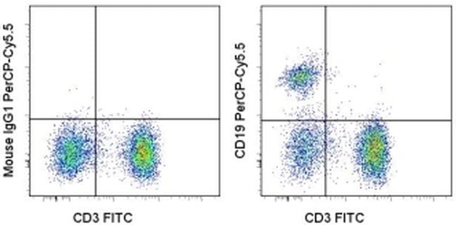 cd19