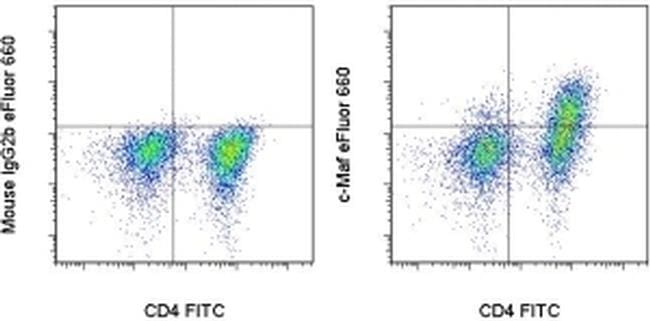 c-MAF Antibody in Flow Cytometry (Flow)