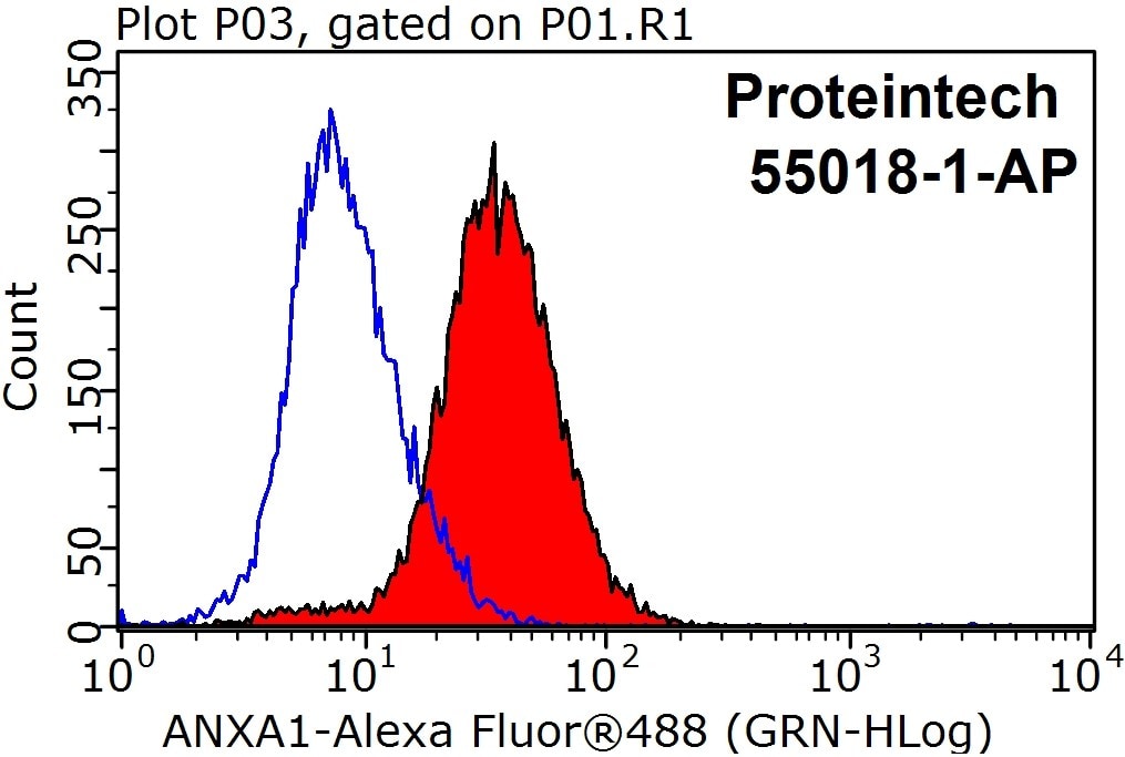 Annexin A1 Antibody in Flow Cytometry (Flow)