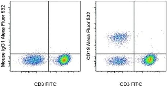 cd19