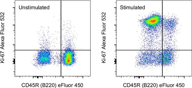 Flowingflaminggo: Ki67 Antibody Flow Cytometry