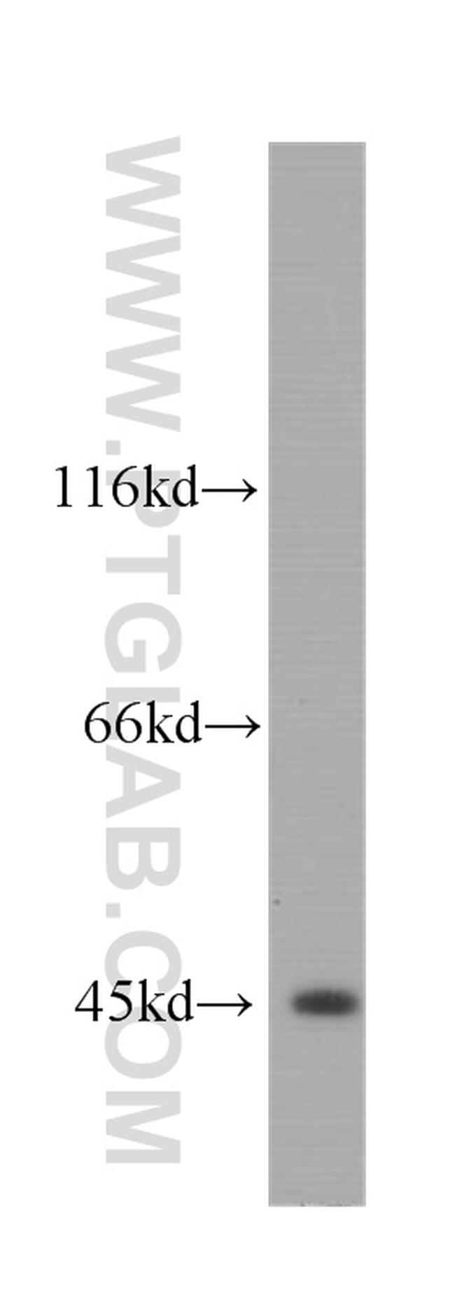 PC-BA-FBA-20 Test Result