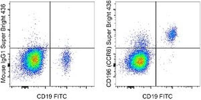 62-1969-42-CD196-(CCR6)-Flow-20170216130641.jpg