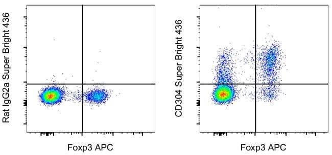 CD304 (Neuropilin-1) Antibody, Super Bright™ 436 (62-3041-82)