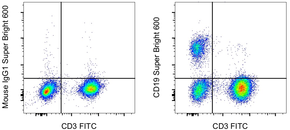 CD19 Antibody, Super Bright™ 600 (63-0199-42)