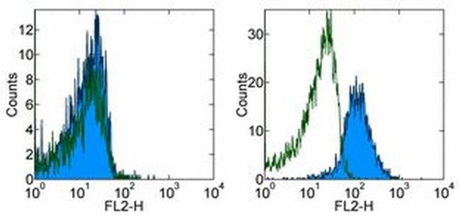 Ova257 264 Siinfekl Peptide Bound To H 2kb Antibody Pe 12 5743