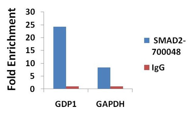 lactobacillus acidophilus gapdh cloning and expression The expression of the antimicrobial peptide plnf from the lactobacillus plantarum was cloned into the lactococcus lactis cloning expression vector,. lactobacillus acidophilus gapdh cloning and expression The expression of the antimicrobial peptide plnf from the lactobacillus plantarum was cloned into the lactococcus lactis cloning expression vector,.