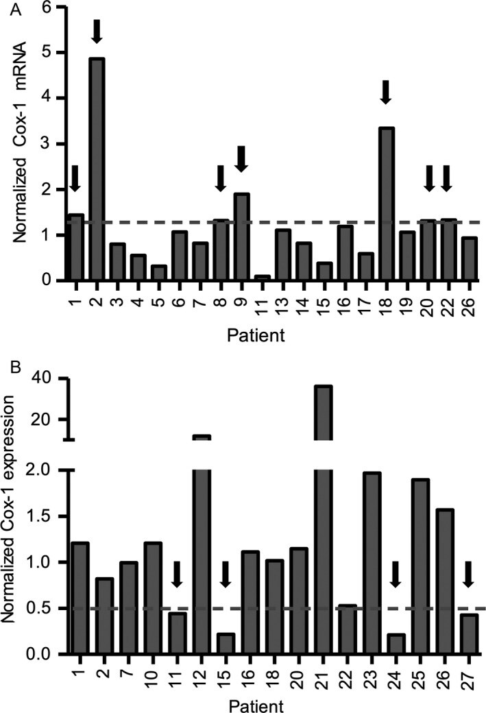 Oxphos Complex Iv Subunit Iv Antibody A