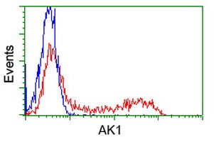 AK1 Antibody in Flow Cytometry (Flow)