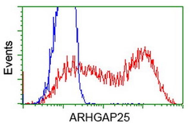 ARHGAP25 Antibody in Flow Cytometry (Flow)