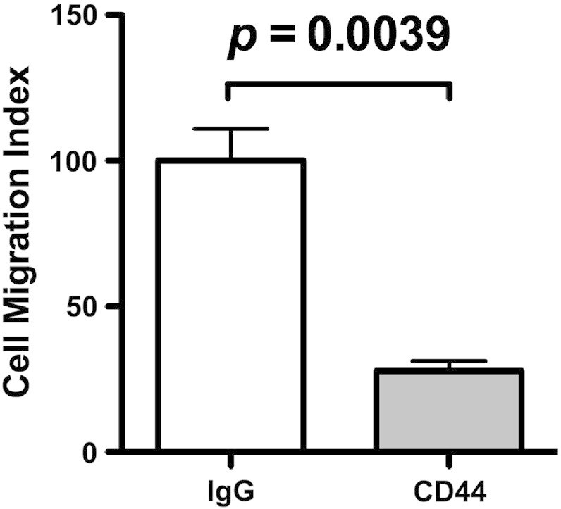 CD44 Antibody in Neutralization (Neu)