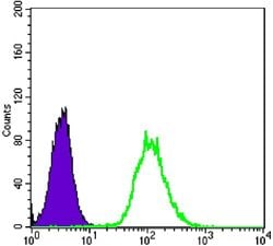 Cytokeratin 7 Antibody Ma5 15604