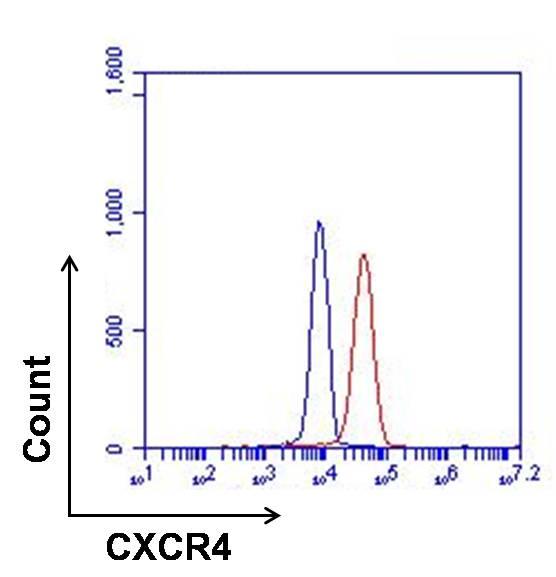 Primary Antibody Overnight Room Temperature Primary Antibody Overnight Room Temperature