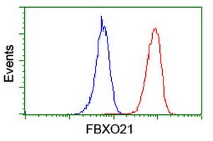 FBXO21 Antibody in Flow Cytometry (Flow)