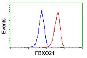 FBXO21 Antibody in Flow Cytometry (Flow)