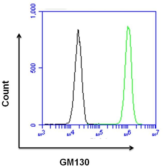 GM130 Antibody in Flow Cytometry (Flow)