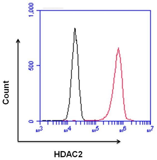 HDAC2 Antibody in Flow Cytometry (Flow)