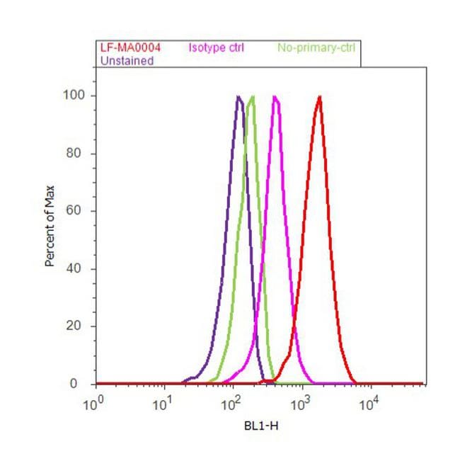  Catalase  Antibody LF MA0004 