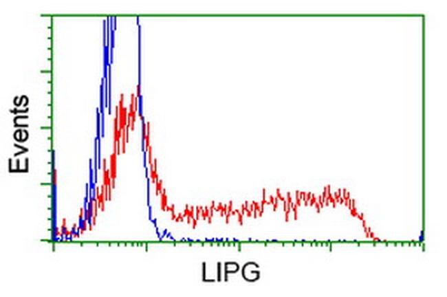 LIPG Antibody in Flow Cytometry (Flow)