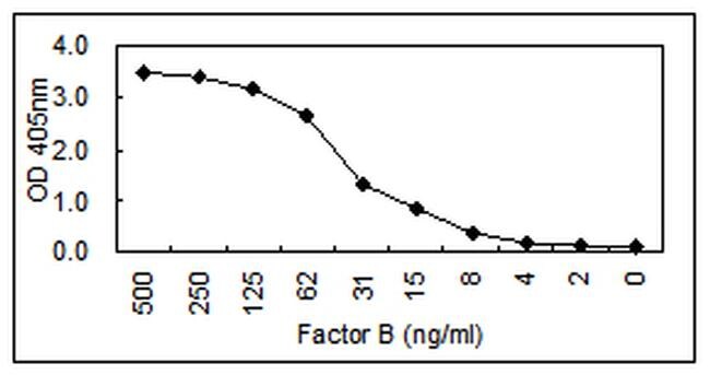 Complement Factor B Antibody in ELISA (ELISA)