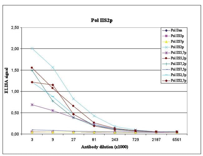 Phospho-RNA pol II CTD (Ser2) Antibody in peptide-ELISA (pep-ELISA)