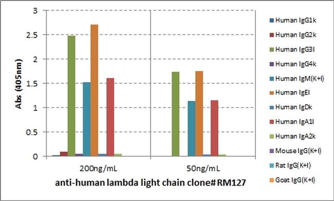 Human lambda light chain Secondary Antibody in ELISA (ELISA)