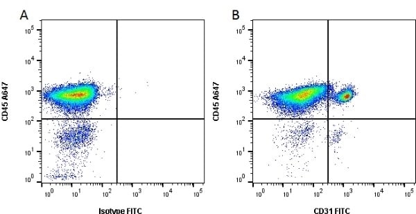 CD31 (PECAM-1) Antibody, FITC (MA5-28344)