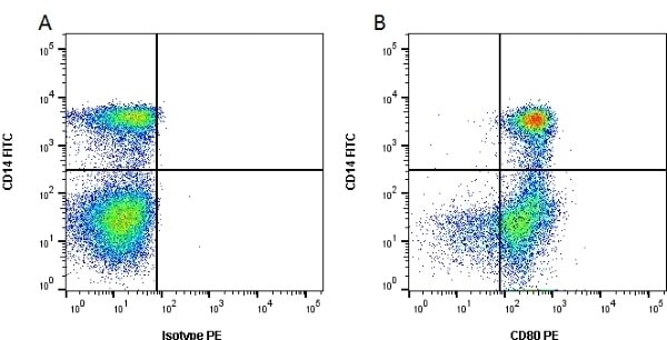 CD80 (B7-1) Antibody, FITC (MA5-28443)