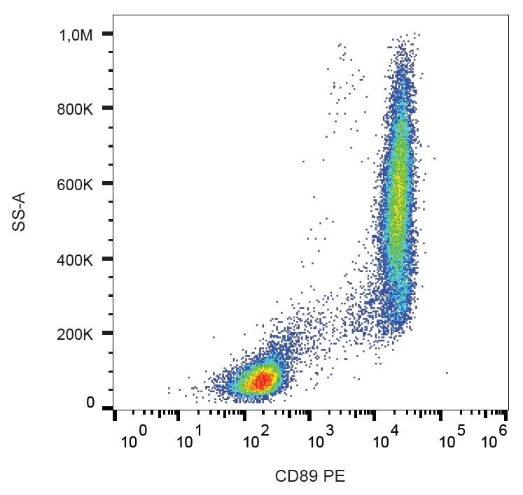 CD89 Antibody, PE (MA5-28547)