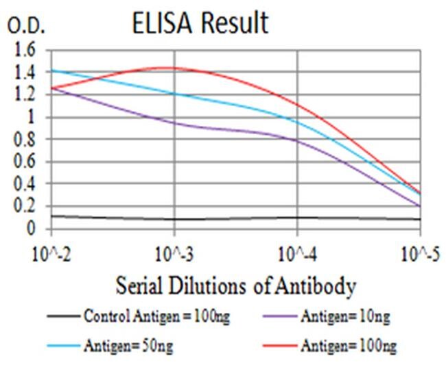 HTR3B Antibody in ELISA (ELISA)