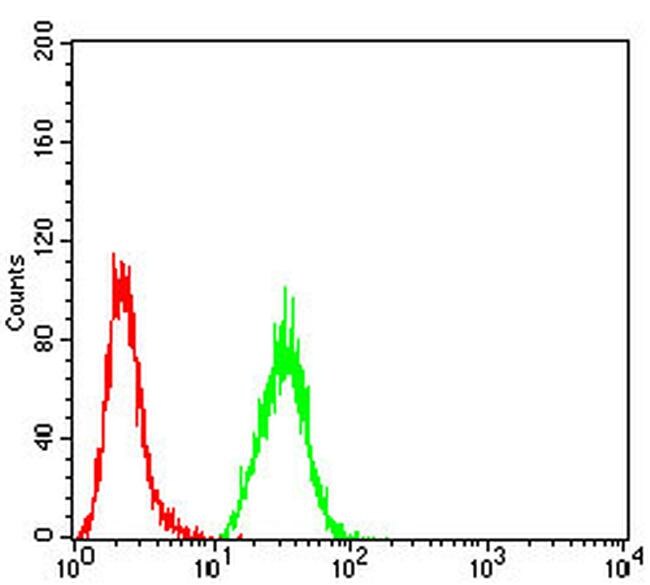 wnt3a-antibody-ma5-31954