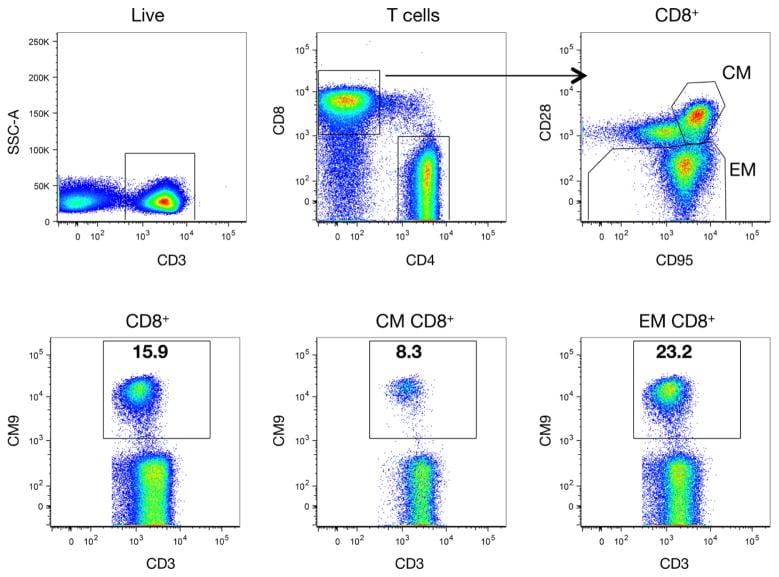 CD8 Antibody, Alexa Fluor™ 405 (MHCD0826)