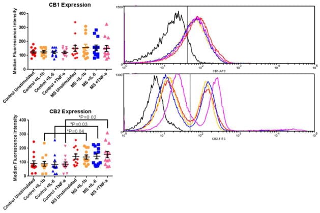 CNR2 Antibody