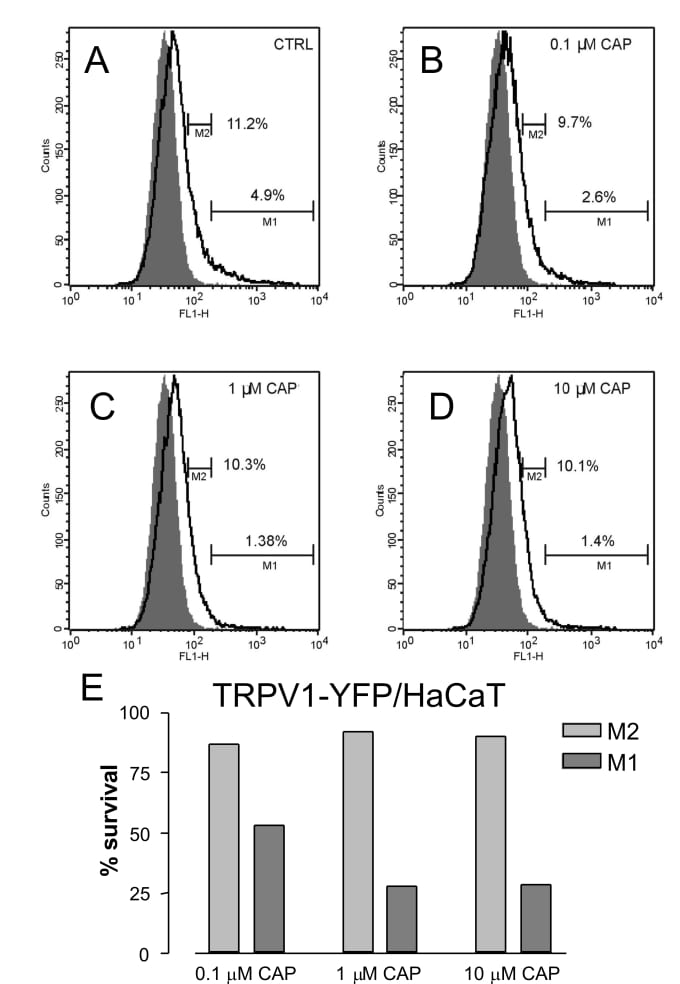 TRPV1 Antibody in Flow Cytometry (Flow)