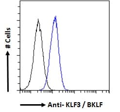 KLF3 Antibody in Flow Cytometry (Flow)
