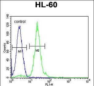 CPT1C Antibody in Flow Cytometry (Flow)