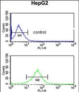 AGPAT3 Antibody in Flow Cytometry (Flow)