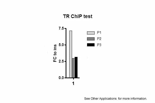 THRB Antibody in ChIP assay (CHIP)